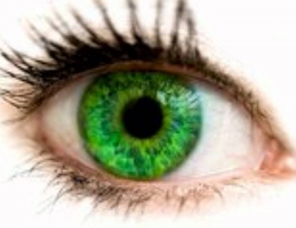 Люди имеют карие глаза, зеленые и голубые являются иллюзией – Ученые