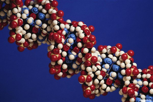 Ученые нашли способ обнаружения «неуловимых молекул»