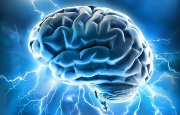 Дислексию можно преодолеть тренировками мозга – Ученые