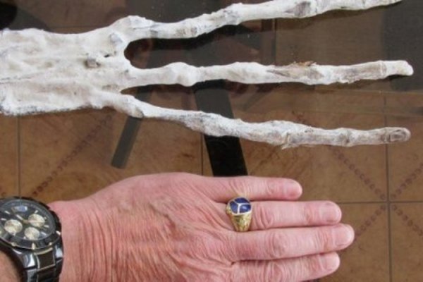 В пещере Перу обнаружили руку неизвестного существа с тремя пальцами