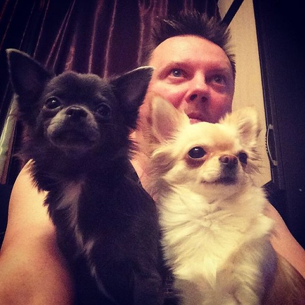Андрей Князев показал снимок своих собак, готовых растерзать любую дичь