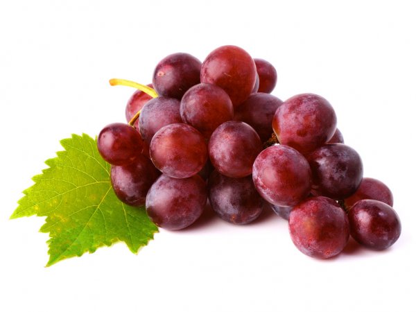 Виноград может предотвратить болезнь Альцгеймера