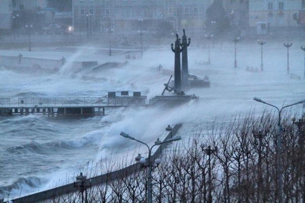 В Петербурге объявлен оранжевый уровень опасности из-за снежного шторма
