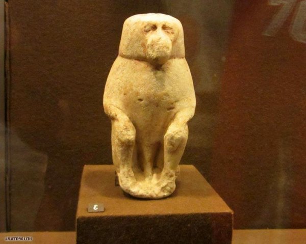 В Древнем Египте бабуинов учили разыскивать преступников