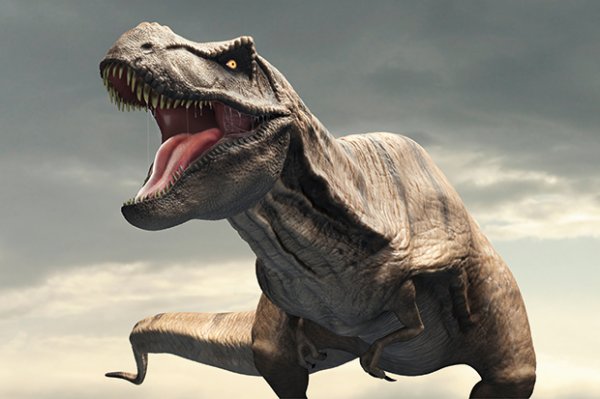 Ученые: Слишком тяжелый хвост динозавров стал причиной прямохождения