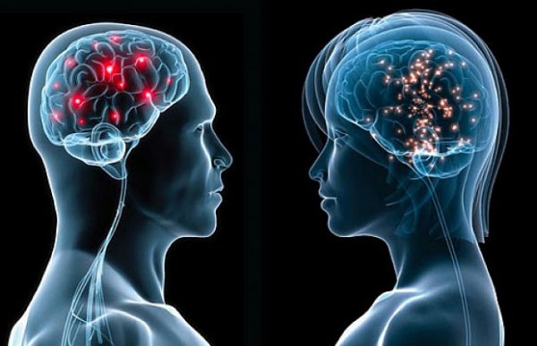 Учёные выявили участок мозга, который отвечает за любовь и возбуждение