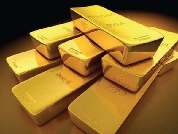 Жительнице Амурской области вынесут приговор за незаконное хранение золота