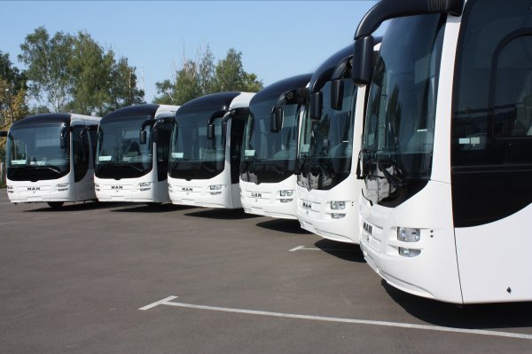 В «Мострансавто» представили новые автобусы для Подмосковья
