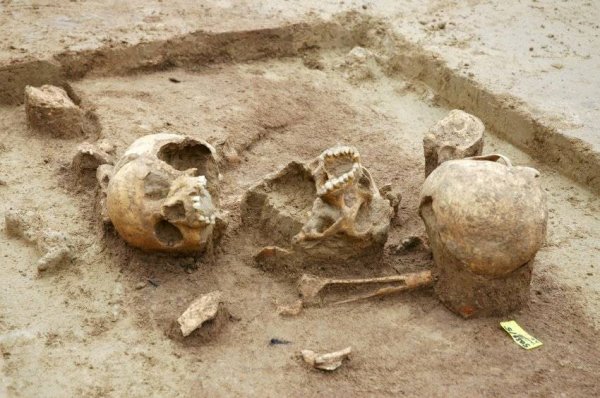 В Испании археологи обнаружили пещеру древних людоедов