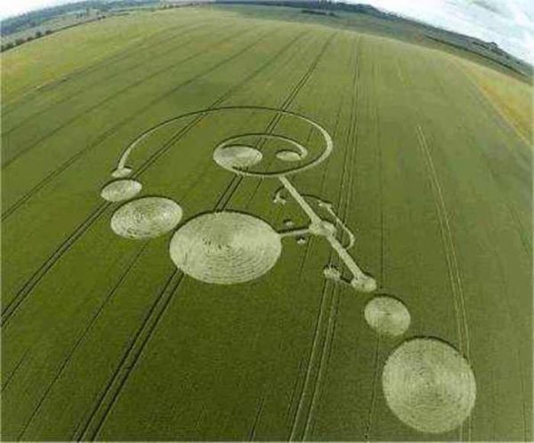 Ученые: Загадочные круги на полях являются посланием инопланетян