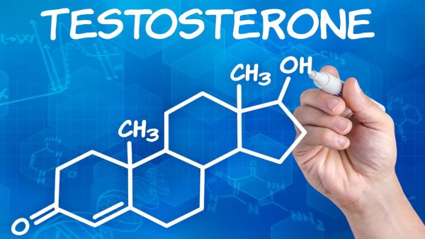 Ученые: К препаратам на базе тестостерона нужно относиться с опаской