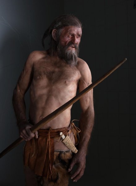 Древний «ледяной человек» Этци не был убит людьми – Антропологи