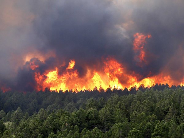 В Иркутской области за сутки потушили 27 лесных пожаров