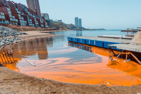 Море во Владивостоке стало оранжевым