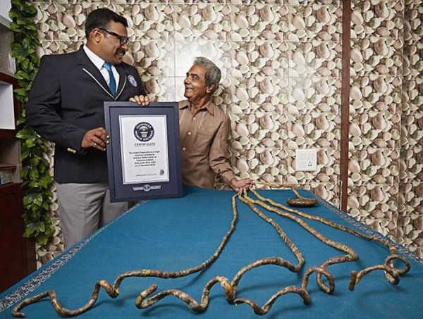 У мужчины из Индии зафиксировали самые длинные в мире ногти