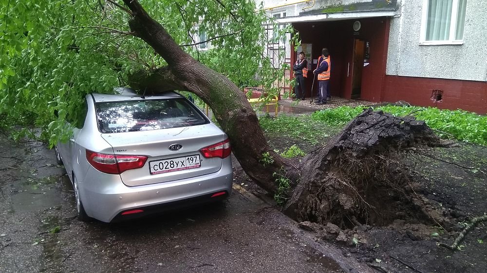 В Москве массово распродают пострадавшие от урагана машины