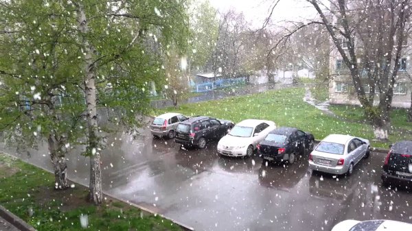 В Челябинской области в июне выпал снег