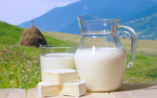 Американские ученые рассказали об опасности нежирных молочных продуктов