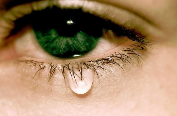 Учёные назвали основные причины слезоточивости глаз