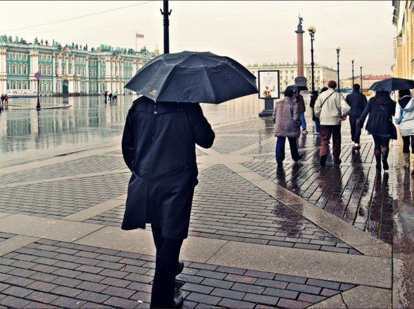 В понедельник утром в Петербурге ожидается дождь