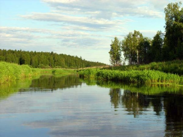В Павловском районе в реке обнаружили труп мужчины