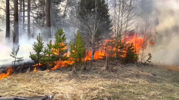 В Волгоградской области МЧС информирует о высокой пожароопасности