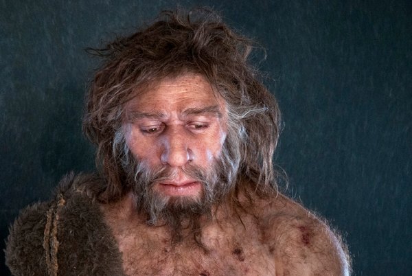 Ученые рассказали о примитивности гигиены зубов у неандертальцев