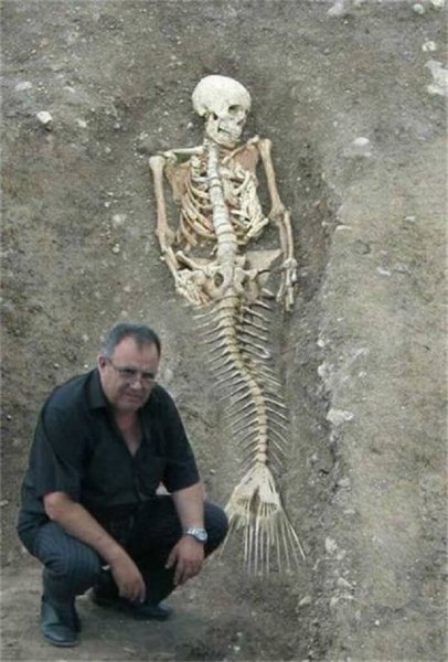 Ученые в Египте нашли скелет русалки 