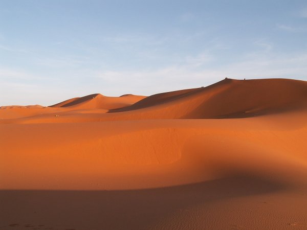 Леса в Сахаре: Когда случиться чудо?
