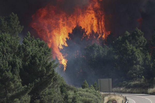 В Черногории по причине пожара эвакуировали свыше 300 человек