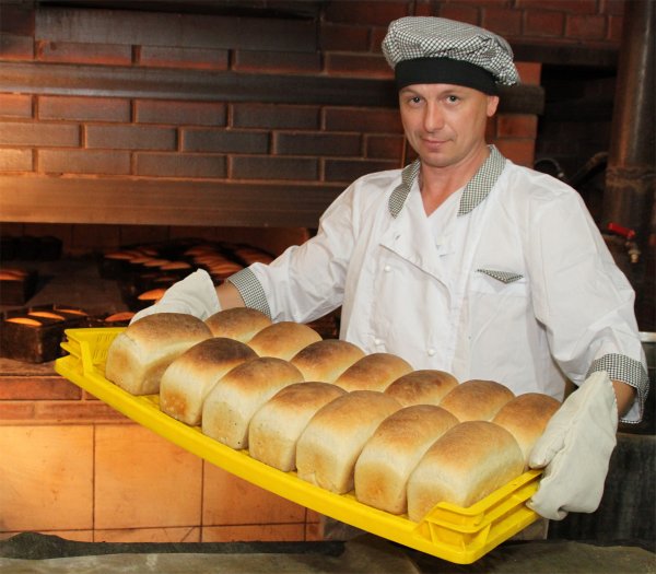 В Волгограде закрыли пекарню, полную тараканов