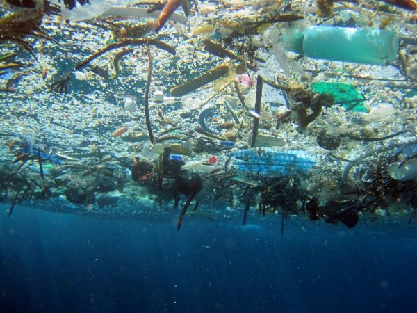 Учёные: В Тихом океане обнаружено огромное мусорное пятно