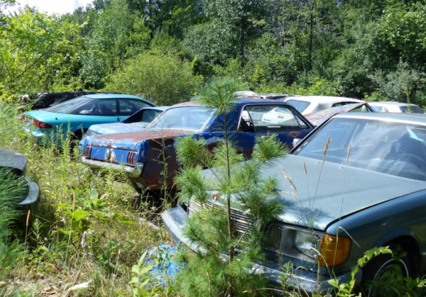 Американского коллекционера автомобилей заставили продать все машины