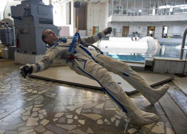 Космонавты на МКС стали жертвами галлюцинаций