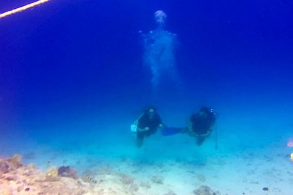 Подводное привидение-скелет обнаружил дайвер на снимках с отдыха