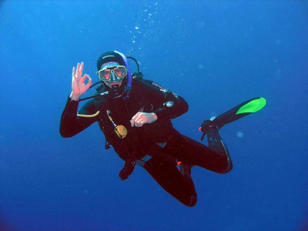 Подводное привидение-скелет обнаружил дайвер на снимках с отдыха