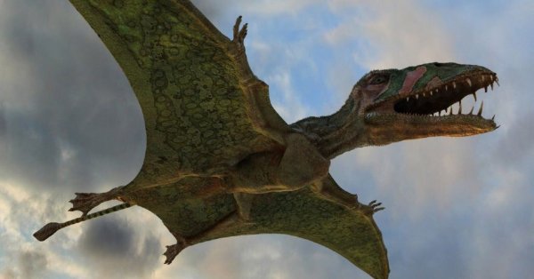 В Сеть попало шокирующее видео летающего динозавра, которого заметили в США