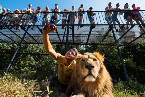 Фотограф из Екатеринбурга получил приз за селфи со львом