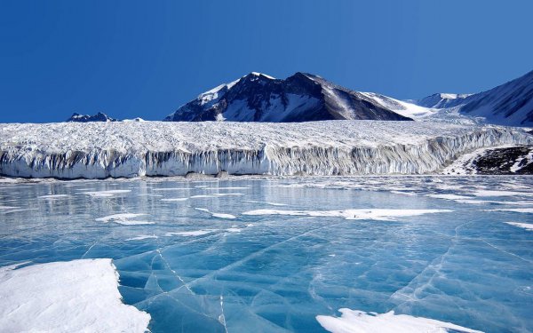 Исследователи обнаружили странное существо во льдах Арктики: Загадочный монстр или "жертва" эволюции?
