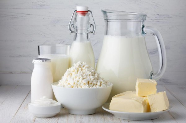 Ученые: Молочные продукты защищают нервную систему