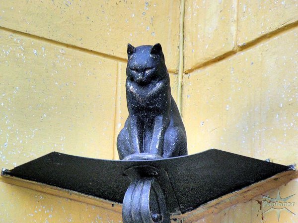 В Петербурге нагло ограбили памятник коту Елисею
