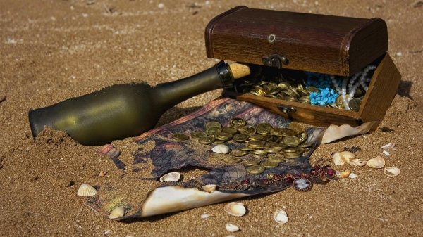Из дома чиновника на Рублевке украли бутылку пиратского рома