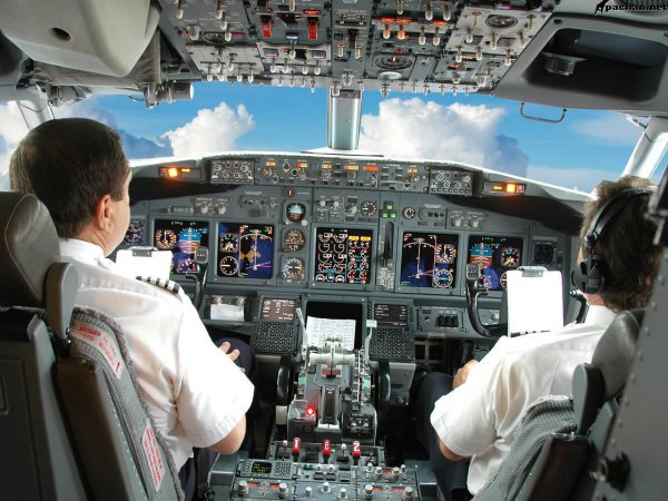 Индийская авиакомпания уволила пилотов, устроивших семейные разборки во время полета