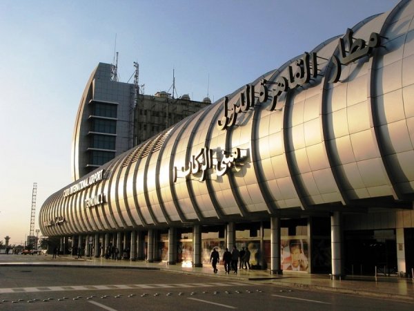 Аэропорт Каира обесточился из-за бездомной кошки