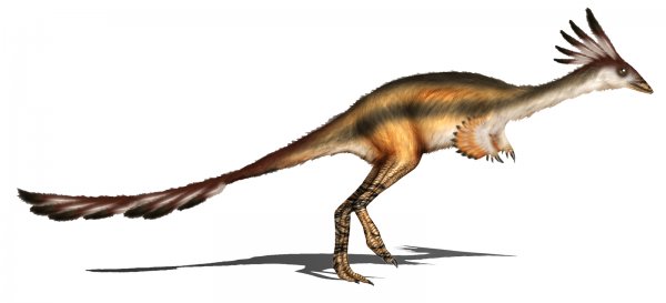 Учёные обнаружили останки древних динозавров в Узбекистане