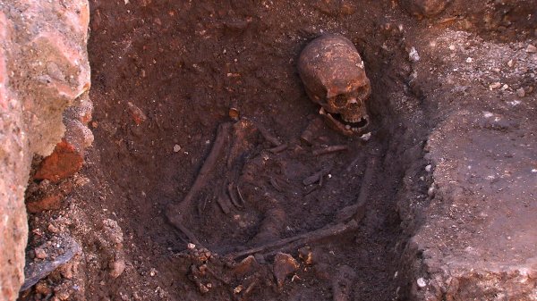 В Израиле ученые обнаружили самые древние останки человека