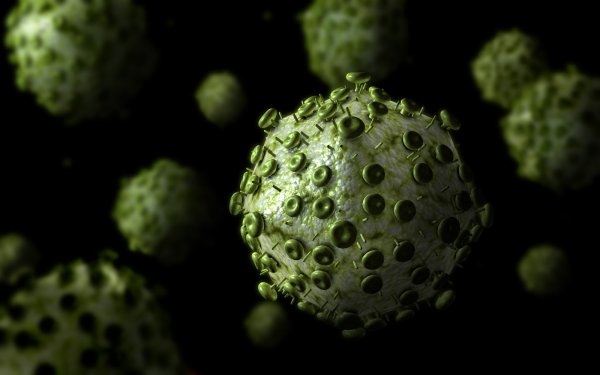 Канадские биологи синтезировали вирус оспы