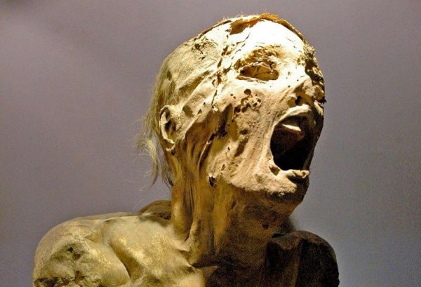 Спустя сотни лет удалось раскрыть тайну "кричащей мумии"