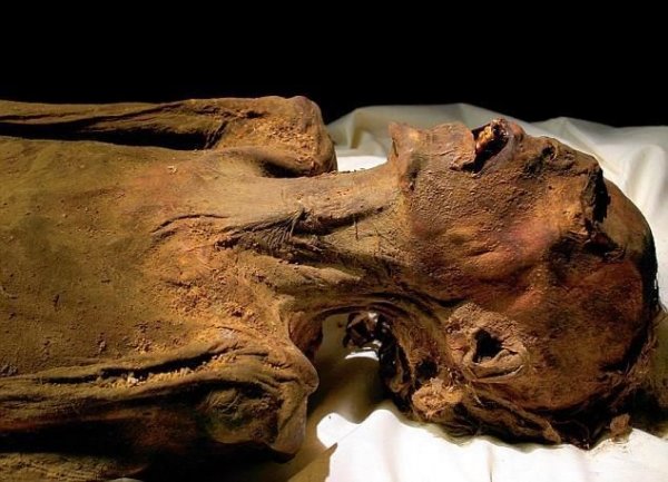 Спустя сотни лет удалось раскрыть тайну "кричащей мумии"