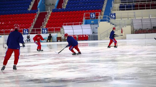 11-летний мальчик погиб во время хоккейной тренировки в Липецкой области